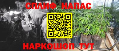 ПСИЛОЦИБИНОВЫЕ ГРИБЫ Пугачёв