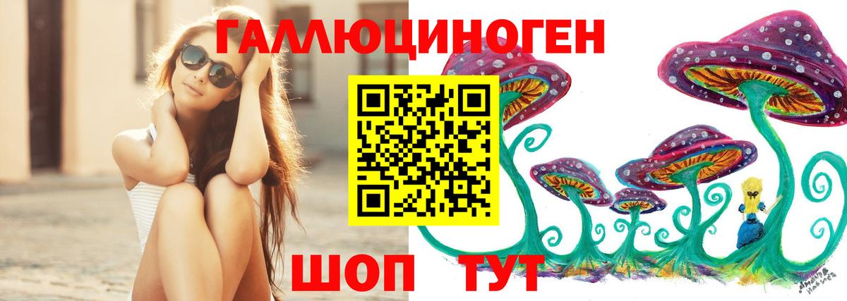 Зеленогорск  Галлюциногенные грибы Psilocybine cubensis  Вход с VPN 